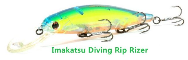 Воблер Imakatsu Diving Riprizer 110F, плавающий,11,2см,16гр,цвет 06