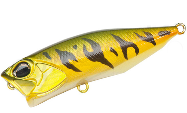 Воблер DUO Realis Popper 64F #P602