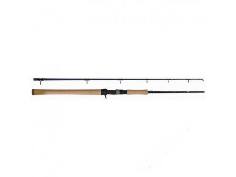 Спиннинг JERKMASTER 160H (1.60m,2-хчаст.,40-140g )